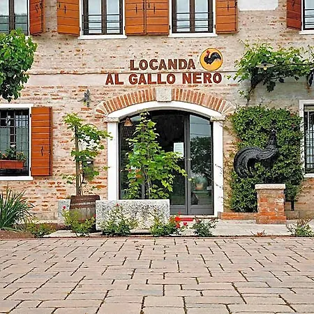 Al Gallo Nero Mini-hôtel Borgoricco