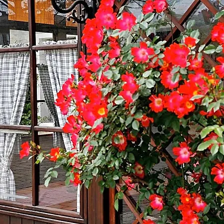 Al Gallo Nero Mini-hôtel
