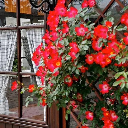 Al Gallo Nero Zajazd