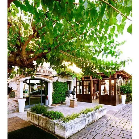 アル ガロ ネロ Borgoricco