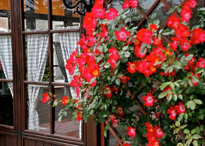 Al Gallo Nero אורחן